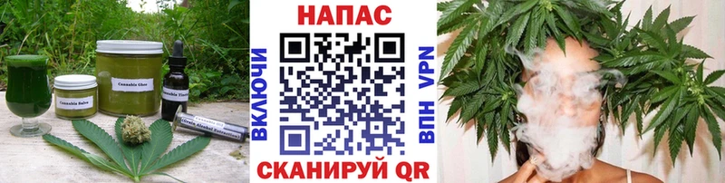 площадка какой сайт  Светлый  Canna-Cookies конопля 