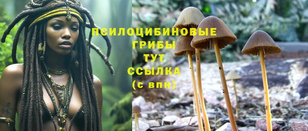 амф Белокуриха